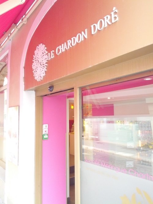 Chardon Doré Vitrine